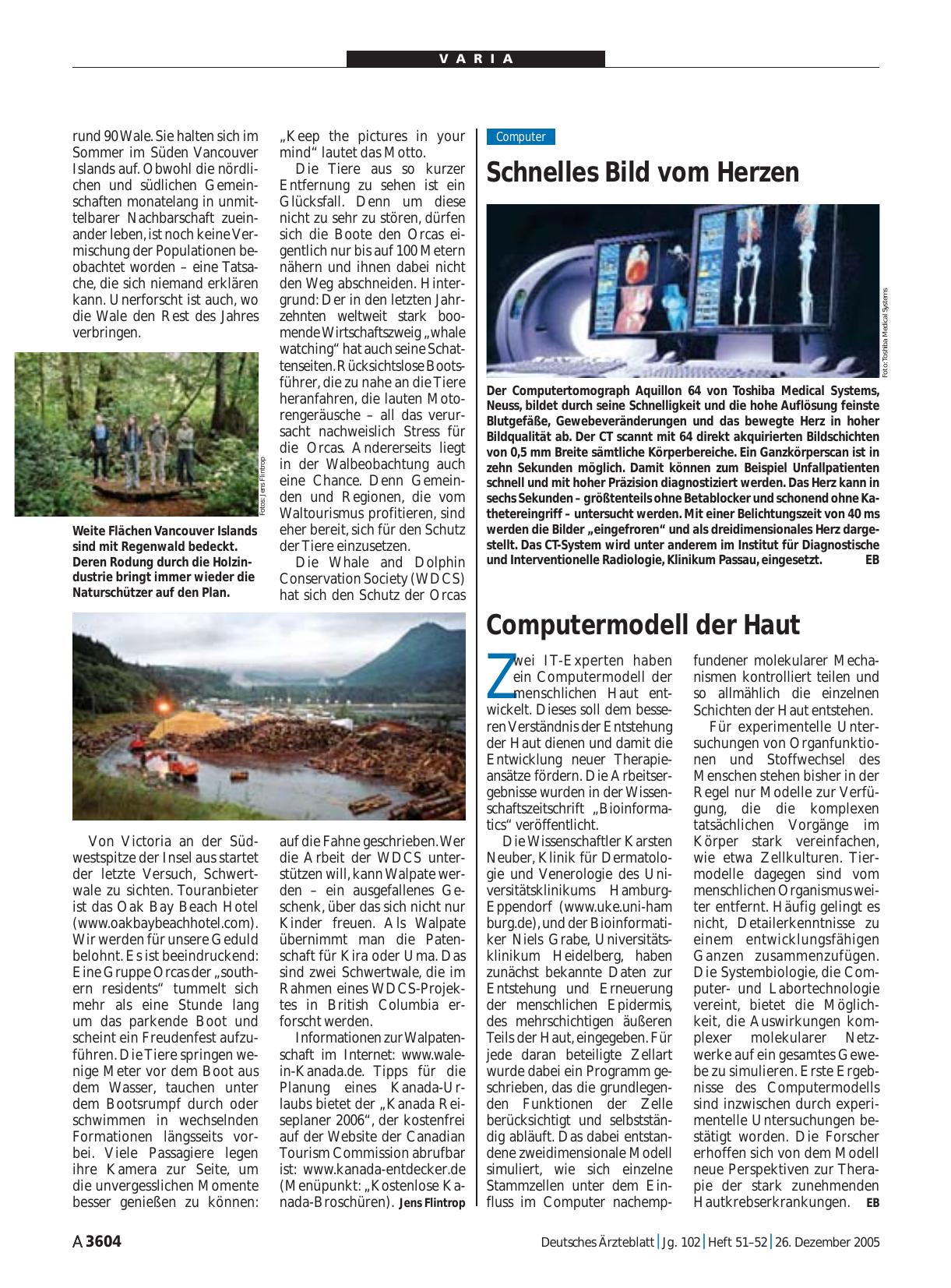 Vorschauseite 1: Computermodell der Haut