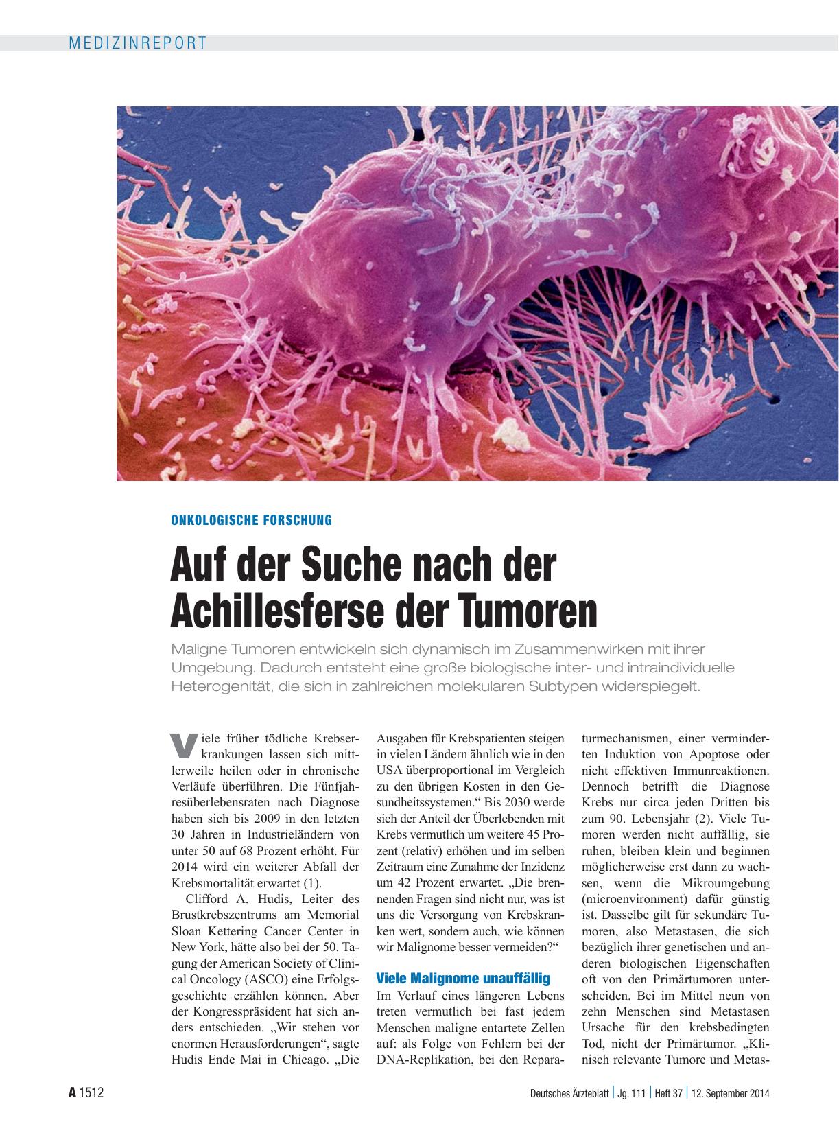 Vorschauseite 1: Onkologische Forschung: Auf der Suche nach der Achillesferse der Tumoren