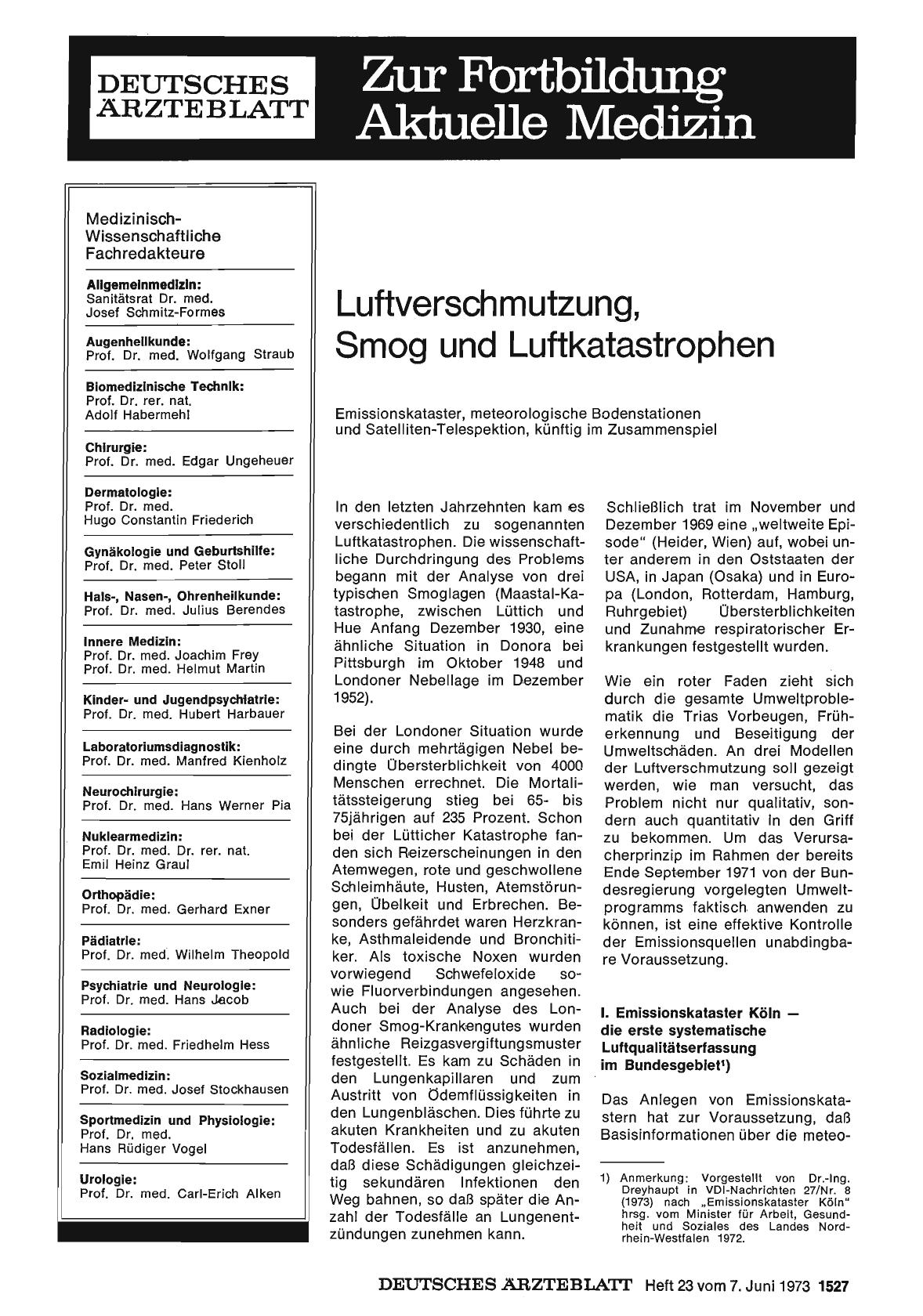 Vorschauseite 1: Luftverschmutzung, Smog und Luftkatastrophen