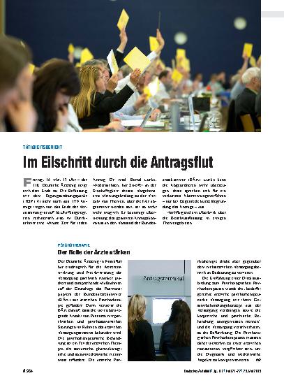 Vorschauseite 1: Tätigkeitsbericht: Im Eilschritt durch die Antragsflut