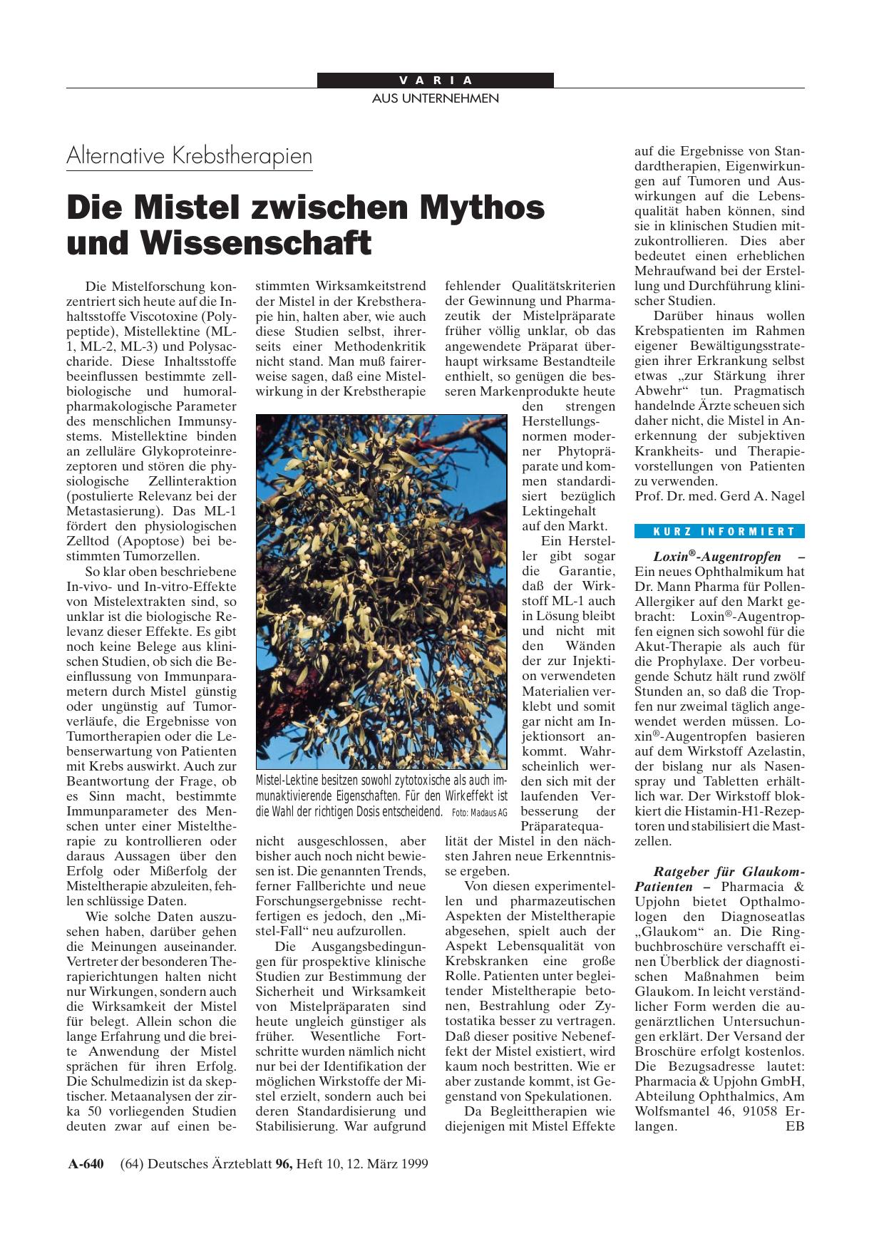 Vorschauseite 1: kurz informiert
