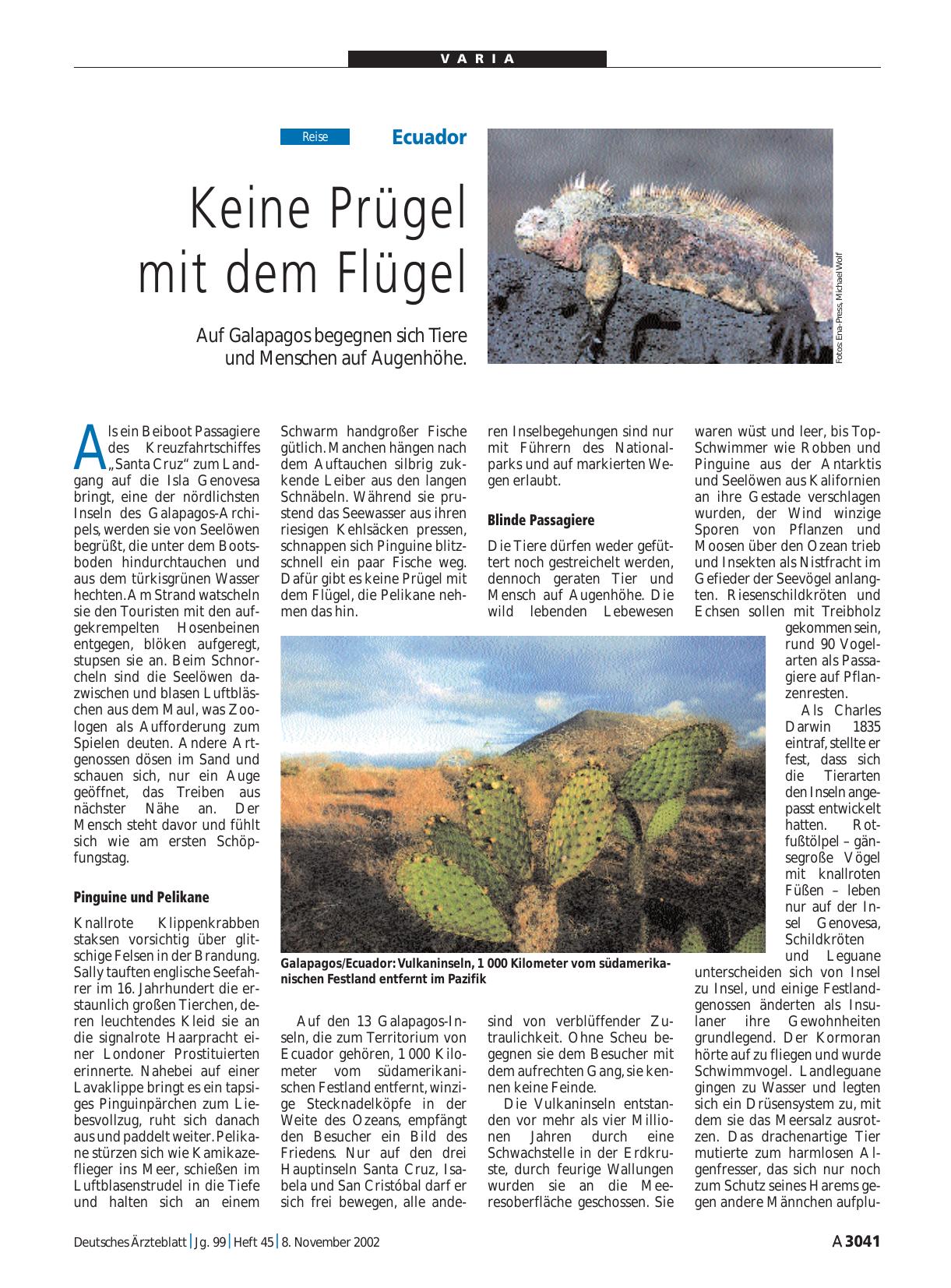 Vorschauseite 1: Ecuador: Keine Prügel mit dem Flügel