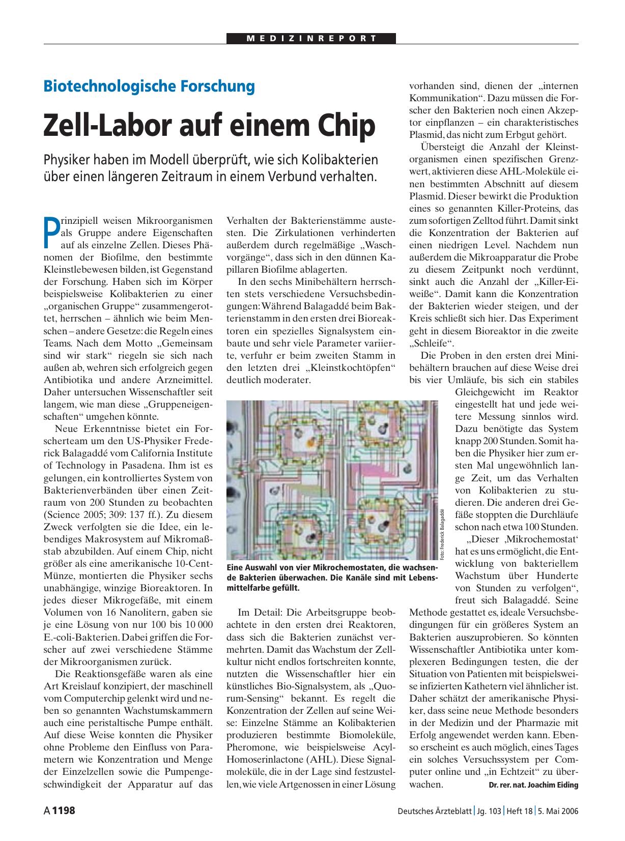 Vorschauseite 1: Biotechnologische Forschung: Zell-Labor auf einem Chip