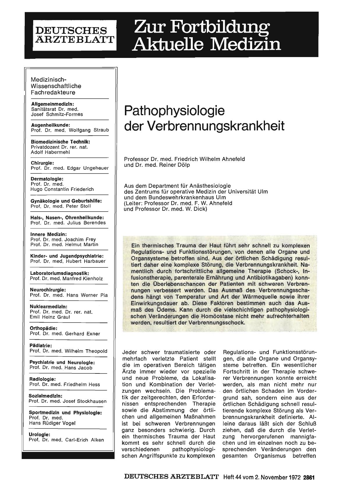 Vorschauseite 1: Pathophysiologie der Verbrennungskrankheit