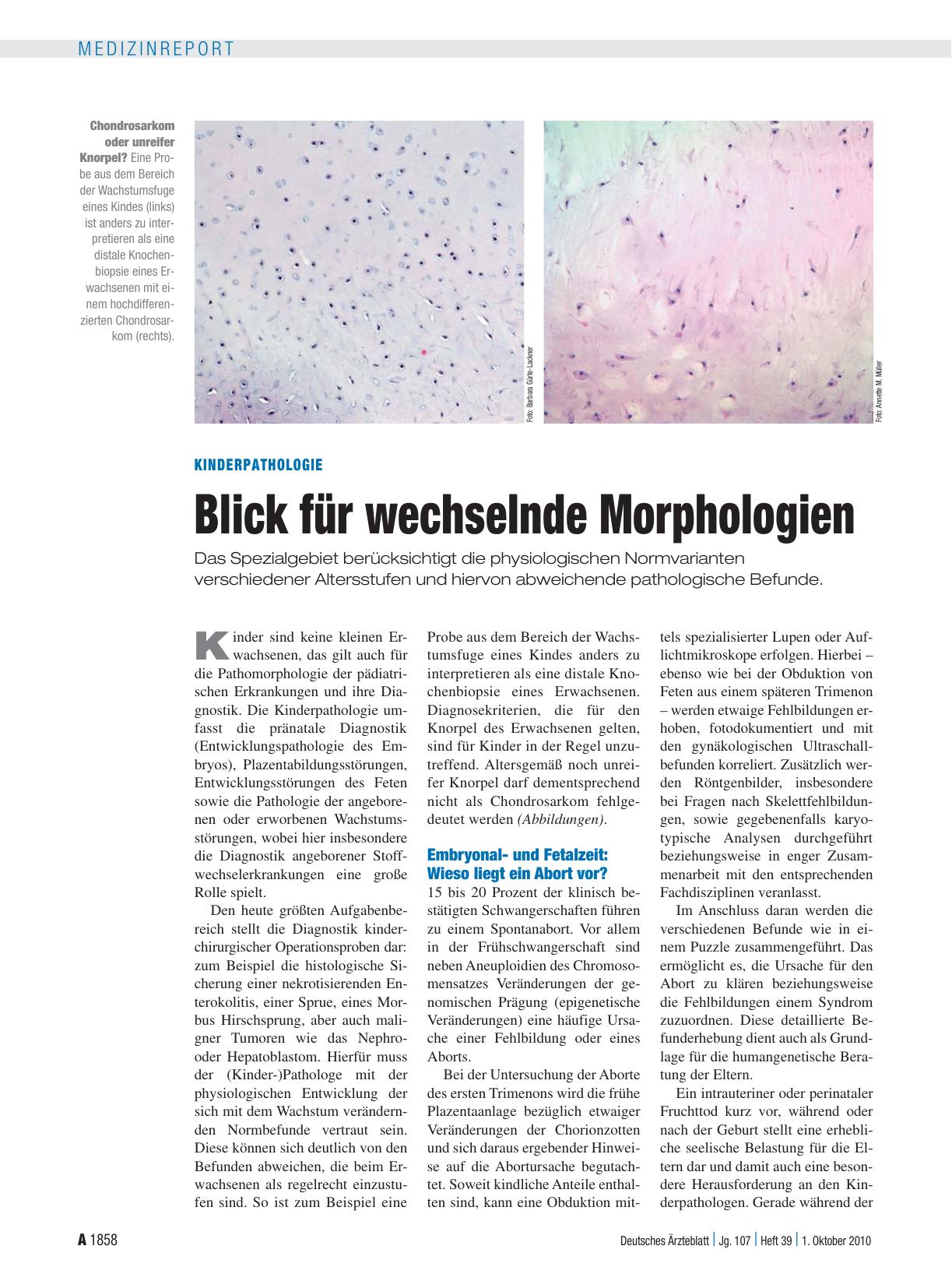 Vorschauseite 1: Kinderpathologie: Blick für wechselnde Morphologien