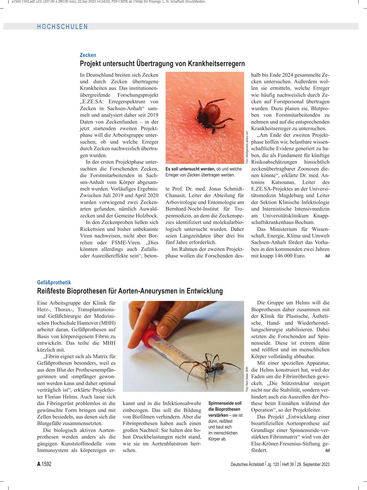 Vorschauseite 1: Gefäßprothetik: Reißfeste Bioprothesen für Aortenaneurysmen in Entwicklung