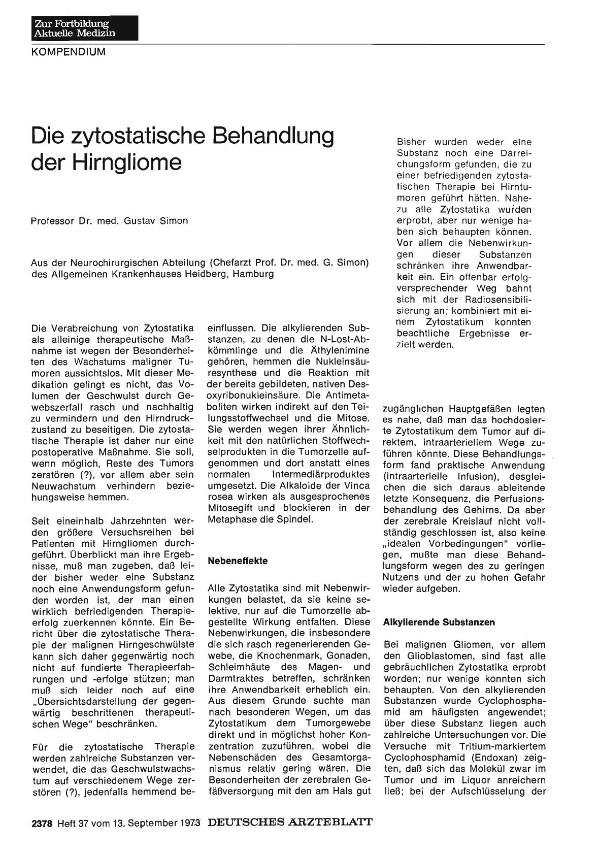 Vorschauseite 1: Die zytostatische Behandlung der Hirngliome