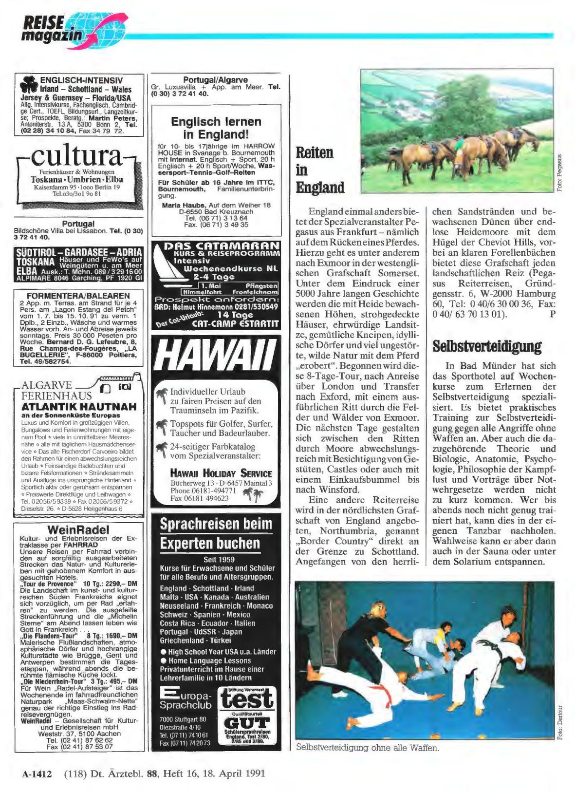 Vorschauseite 1: Reiten in England
