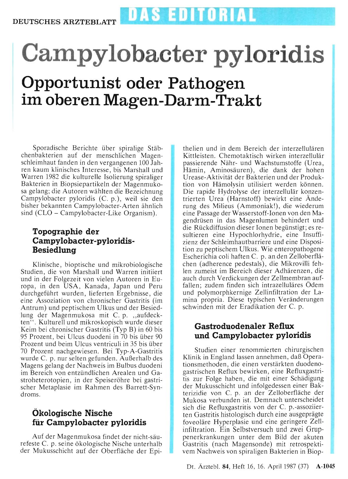 Vorschauseite 1: Campylobacter pyloridis: Opportunist oder Pathogen im oberen Magen-Darm-Trakt