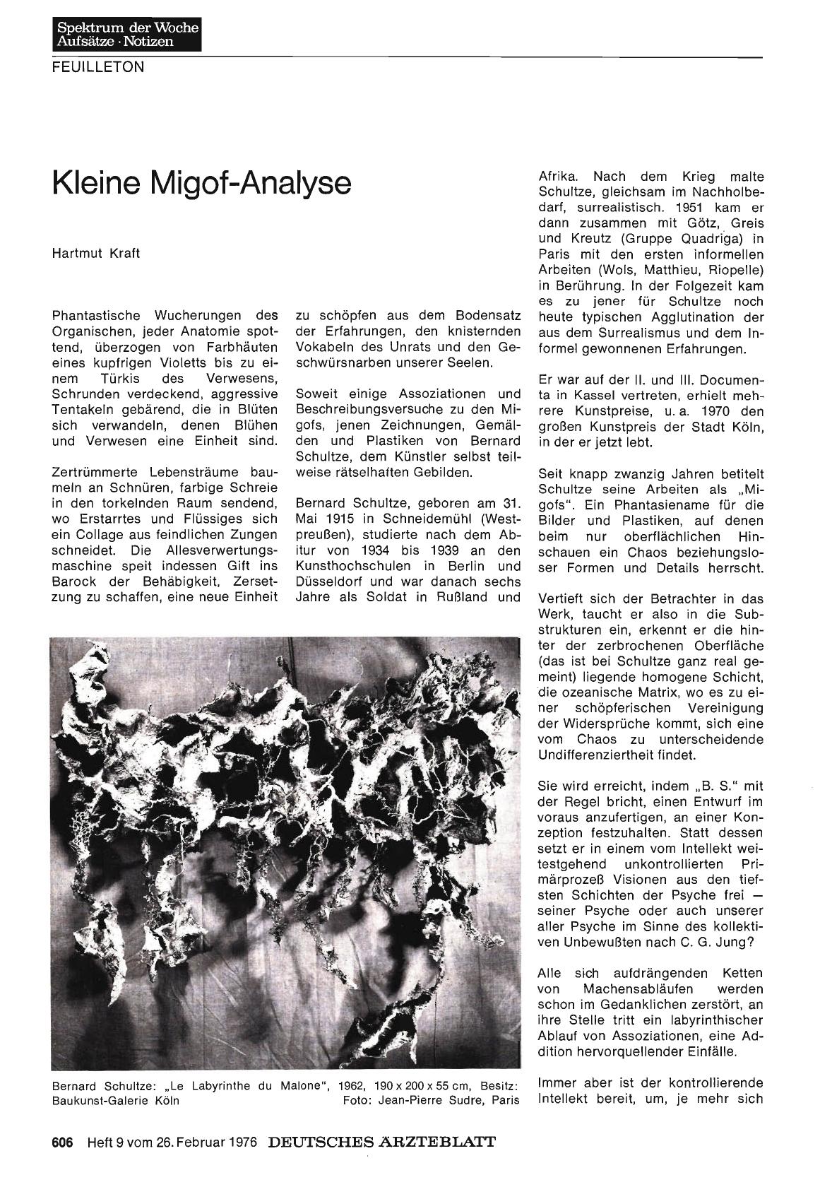 Vorschauseite 1: Kleine Migof-Analyse