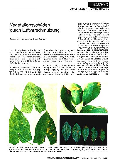 Vorschauseite 1: Vegetationsschäden durch Luftverschmutzung
