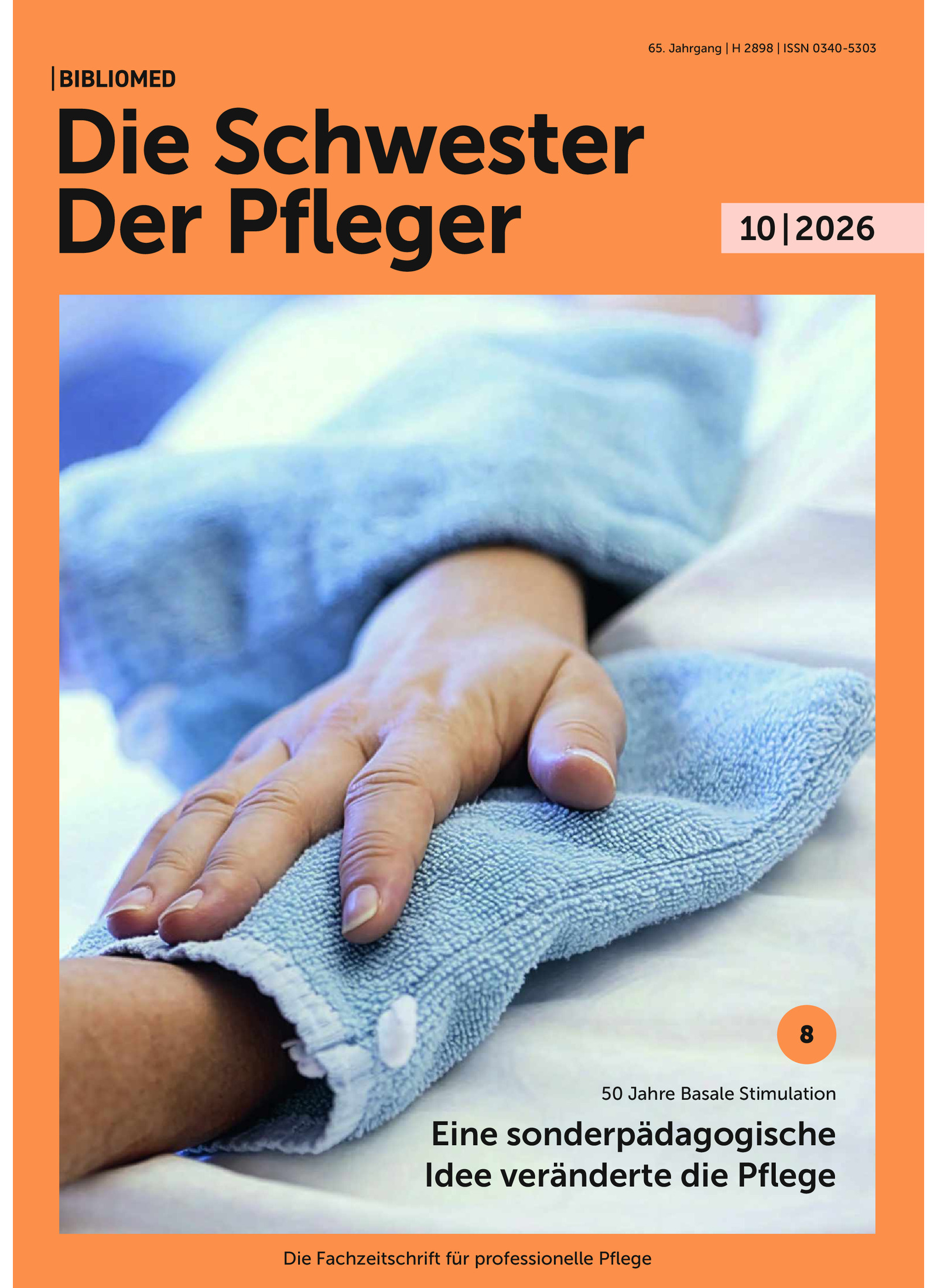 Die Schwester Der Pfleger